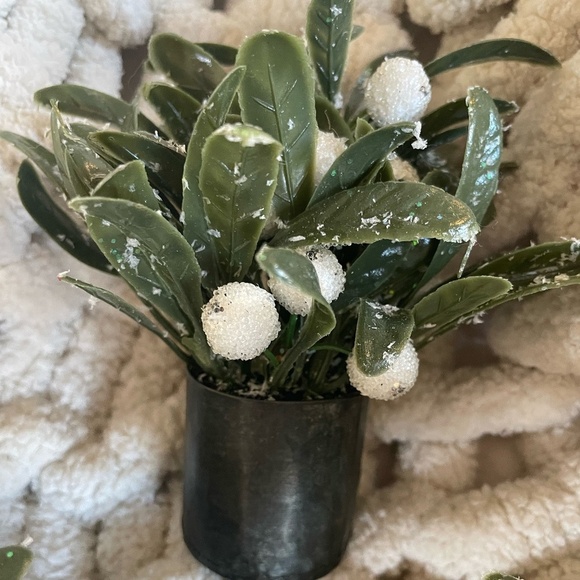 SET OF 3 MINI WINTER BERRY ARRANGEMENTS - Picture 2 of 8